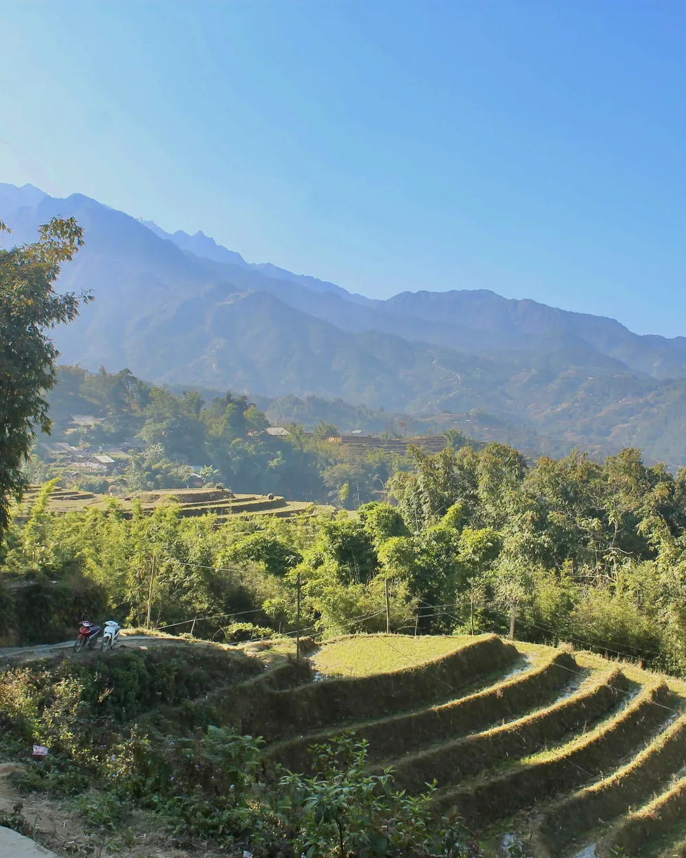 Des rizières en terrasses au pied des montagnes du Nord du Vietnam