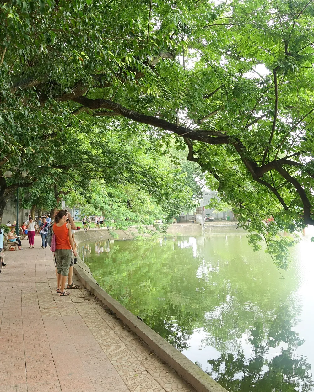 Une allée ombragée au bord du lac Hoan Kiem, à Hanoï